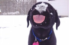 Here's what went viral today: Tuesday