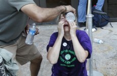 Demonstrators pepper-sprayed in Washington museum