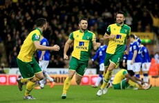 Wes Hoolahan inspires Norwich comeback to earn a valuable point against Everton