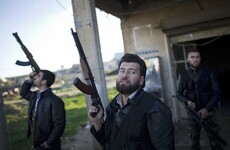 The UN Security Council has backed a US-Russian plan for peace in Syria