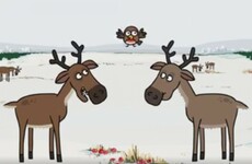 Sminky Shorts is back with a delightful Christmas video starring reindeer from Cork