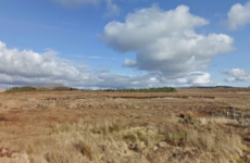 Man killed in tree felling accident in Donegal