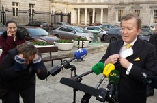 'I would like to thank God': Jubilant Perry added to Fine Gael election ticket after court battle