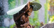 Here are all the winners of the 2015 National Geographic Photo Contest
