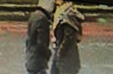 A man robbed a woman's handbag as she cleaned her husband's grave on Christmas Eve