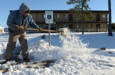 A freak blizzard killed thousands of cows in Texas