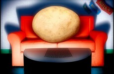 Sofa Supporter: Your guide to sport on the telly
