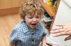 More parents calling help line in the past year
