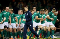 Who would you like to see in Joe Schmidt's Six Nations squad today?