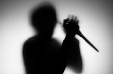 Chinese nanny admits to killing and dismembering parents of baby in France