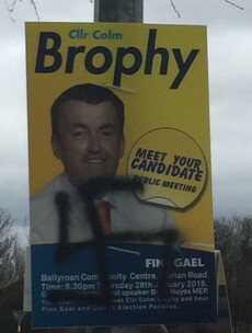 Fine Gael councillor's posters defaced with swastikas