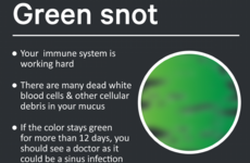 Here's what the colour of your snot really means