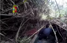 VIDEO: The bunker where on-the-run mobsters were finally found in Italy