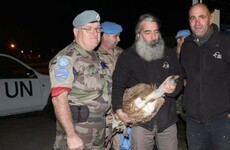 The UN has negotiated the release of a vulture suspected of spying for Israel