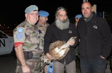 Heard the one about the Irish soldier and the feathered 'Israeli spy'?