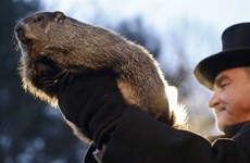 Spring is on the way according to this world-renowned weather forecaster