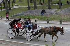 Getting a horse-drawn carriage around New York could become a thing of the past