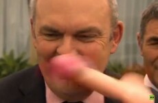 Throwing dildos at politicians not an appropriate way to celebrate New Zealand, says PM