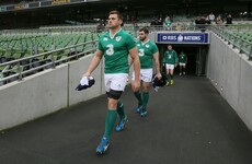 South Africa fans watched on enviously as CJ Stander made his Ireland debut