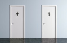 US state moves towards transgender student bathroom ban