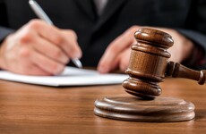 Man and woman who 'feel sexually attracted to animals' challenge law forbidding sex with animals