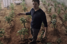 NASA wants to grow genetically modified potatoes on Mars