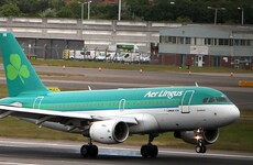 Aer Lingus flight disembarked after fireworks found on board