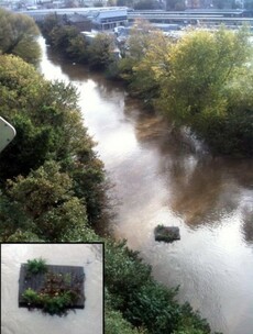 GALLERY: The morning after the floods