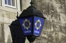Drugs and ammunition seized during Louth search