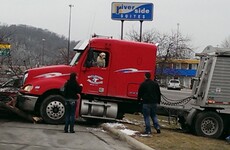 A dog 'drove' its owner's truck over a tree and into a car