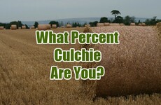 What Percent Culchie Are You?