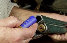 Farmers in Tipperary 'patrolling countryside with guns' to ward off burglars