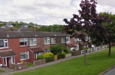 Homes evacuated for hours overnight after viable bomb thrown