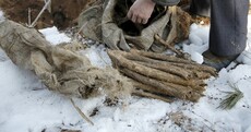 Korean War veterans want their brothers-in-arms found, identified and brought home