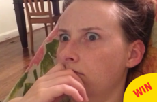 This girl's perfectly-timed Harry Potter face swap is masterful