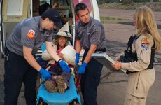 American woman, 72, survives desert after writing 'Help' with sticks and rocks