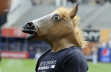 Move over Boaty - here comes a horse named Horsey McHorseface