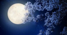 Keep an eye on the sky tonight for a spectacular astronomical display