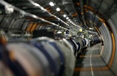 One of the most complex machines in the world was stopped by a rogue weasel
