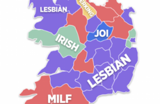 People from Westmeath and Leitrim search for different porn to anyone else in Ireland