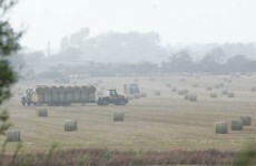 Farmbud to create up to 100 new jobs