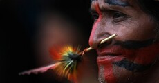 The week in photos