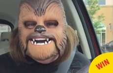 The actor who played Chewbacca just gave a lovely shout-out to the Chewbacca lady