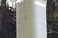 A little girl in Wicklow has stuck up an adorable sign to find her missing Barbie shoe