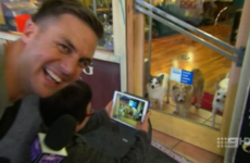 Australia's The Footy Show sorry for 'racist' dog joke