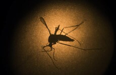 Brazil's health minister says "less than one tourist will be infected" with Zika virus