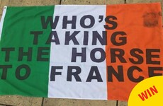 16 slogans only Irish fans could bring to the Euros