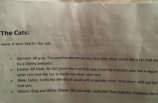 This girl left a painfully accurate description of her cats for the cat minder