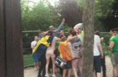 9 times Irish and Swedish fans proved they were the soundest