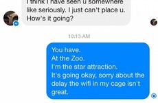 This girl is going viral for her responses to strangers friending her on Facebook